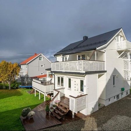 Tromso'S Best Location? City & Nature 5 Mins Away. Екстер'єр фото