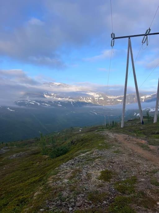 Tromso'S Best Location? City & Nature 5 Mins Away. Екстер'єр фото