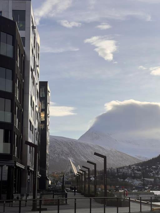 Tromso'S Best Location? City & Nature 5 Mins Away. Екстер'єр фото