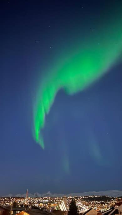 Tromso'S Best Location? City & Nature 5 Mins Away. Екстер'єр фото
